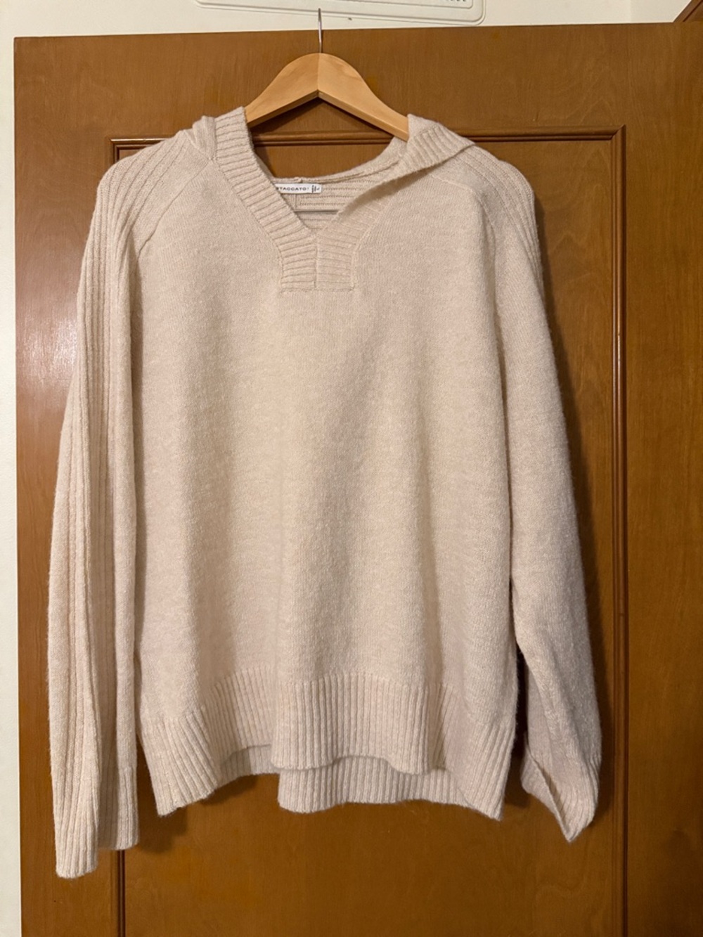 Staccato Men's Hooded V-Neck Sweater in Cream